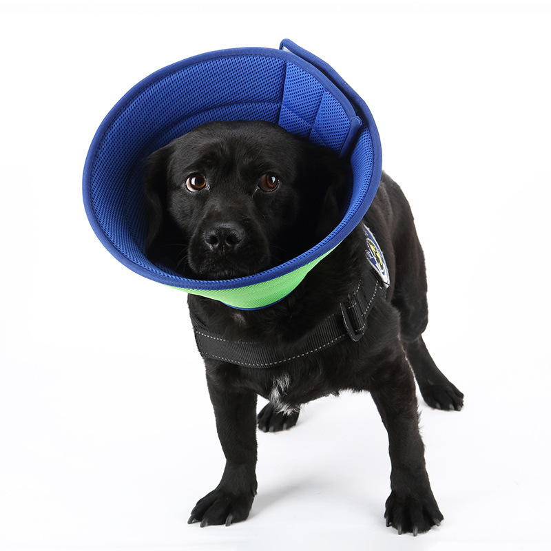 09c30706-2b33-4493-bf89-bd68f7bc7f8f.jpg Dog Cat Anti-bite Collar Pet Medical Recovery Collars Transparent Pets Protection Cover Elizabethan Collar Circle For Pet Supplies - Image 1