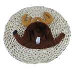 Teddy Dog Cat Antlers - Image 5