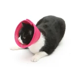 Dog Cat Anti-bite Collar Pet Medical Recovery Collars Transparent Pets Protection Cover Elizabethan Collar Circle For Pet Supplies - Image 7