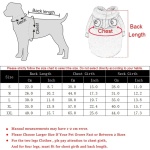Soft Warm Cat Clothes For Small Dogs Cats Funny Halloween Cosplay Frog Costume Kitten Creative Sweatshirts Pet Autumn Hoodies - Image 2