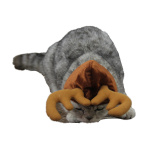 Teddy Dog Cat Antlers - Image 4