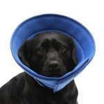 Dog Cat Anti-bite Collar Pet Medical Recovery Collars Transparent Pets Protection Cover Elizabethan Collar Circle For Pet Supplies - Image 5
