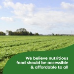 Knorr Pasta Sides Chicken Fettuccine For Delicious Quick Pasta Side Dishes 4.3 oz - Image 4