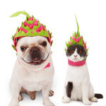 Pitaya Fruit Design Pet Hat Dog Cat Puppy Halloween Party Costumes - Image 2