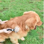 Pet Dematting Comb - Image 4