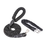 Dogs With One Tow Two Leashes Pets Double Heads - Image 5