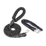 Dogs With One Tow Two Leashes Pets Double Heads - Image 5