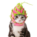 Pitaya Fruit Design Pet Hat Dog Cat Puppy Halloween Party Costumes - Image 3